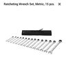 54dg24a Westward New Piece Metric Ratcheting Wrench Set