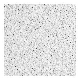 32wm91 Armstrong 558e Ceiling Tile 24 In L W Pk10