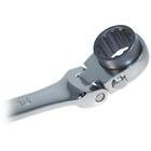 Plt99666 Plt 99666 Platinum Xl Ratcheting 663126996666