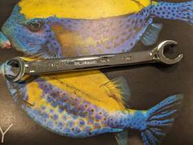5mr58 Westward Flr Nt Wrench Steel Offset6-pnt