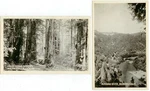 C1920S California Guerneville Armstrong Woods Rionido Russian River Pcs. Fixed Price $8.00.