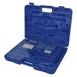 Blow Mold Case, C1PZ37. Fixed Price $71.29.