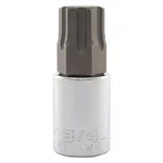 Proto J5441R-3/4 Socket Bit, Steel, 1/2 In, Tpsz. Fixed Price $8.00.
