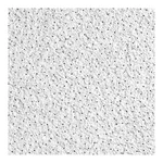 Armstrong 558E Ceiling TILE,24 L,24 W,PK10 32WM91. Fixed Price $223.82.